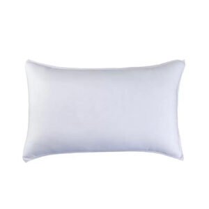 Coussin Décoratif 60x40 cm