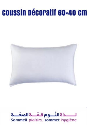 Coussin Décoratif 60x40 cm