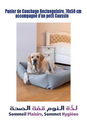 Panier de Couchage Rectangulaire, 70x50 cm accompagné d’un petit Coussin